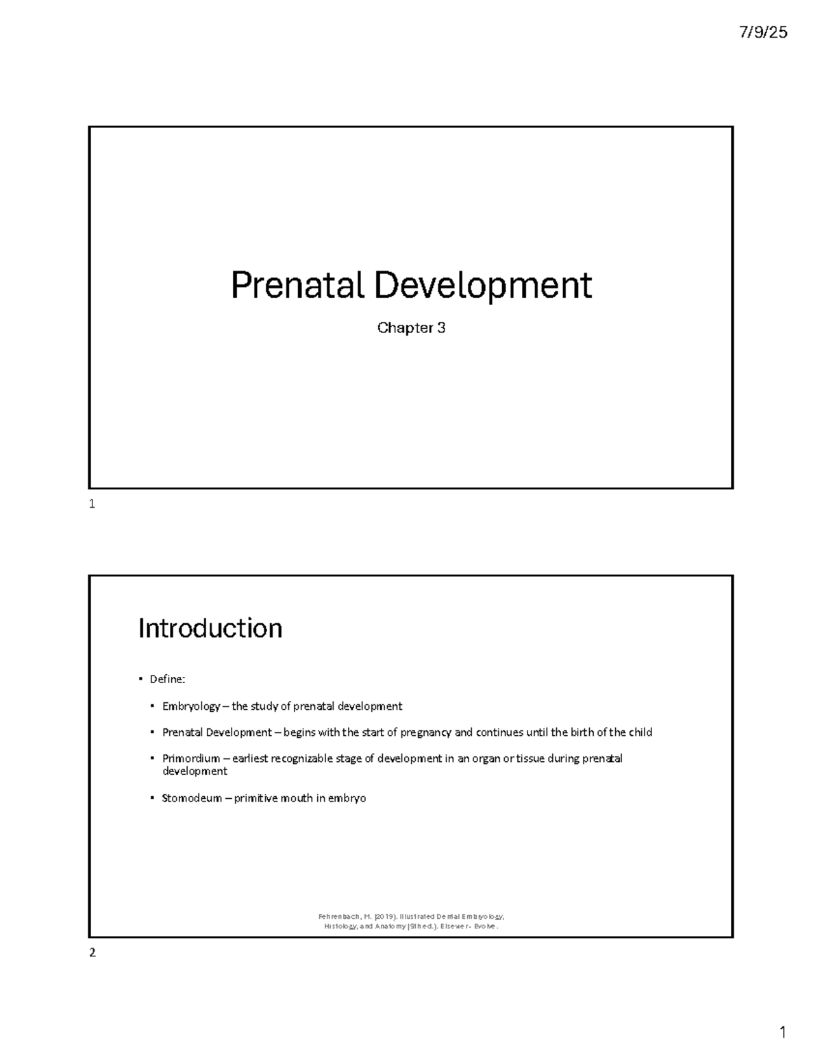 Chapter 3: Overview of Prenatal Development - Illustrated Dental ...