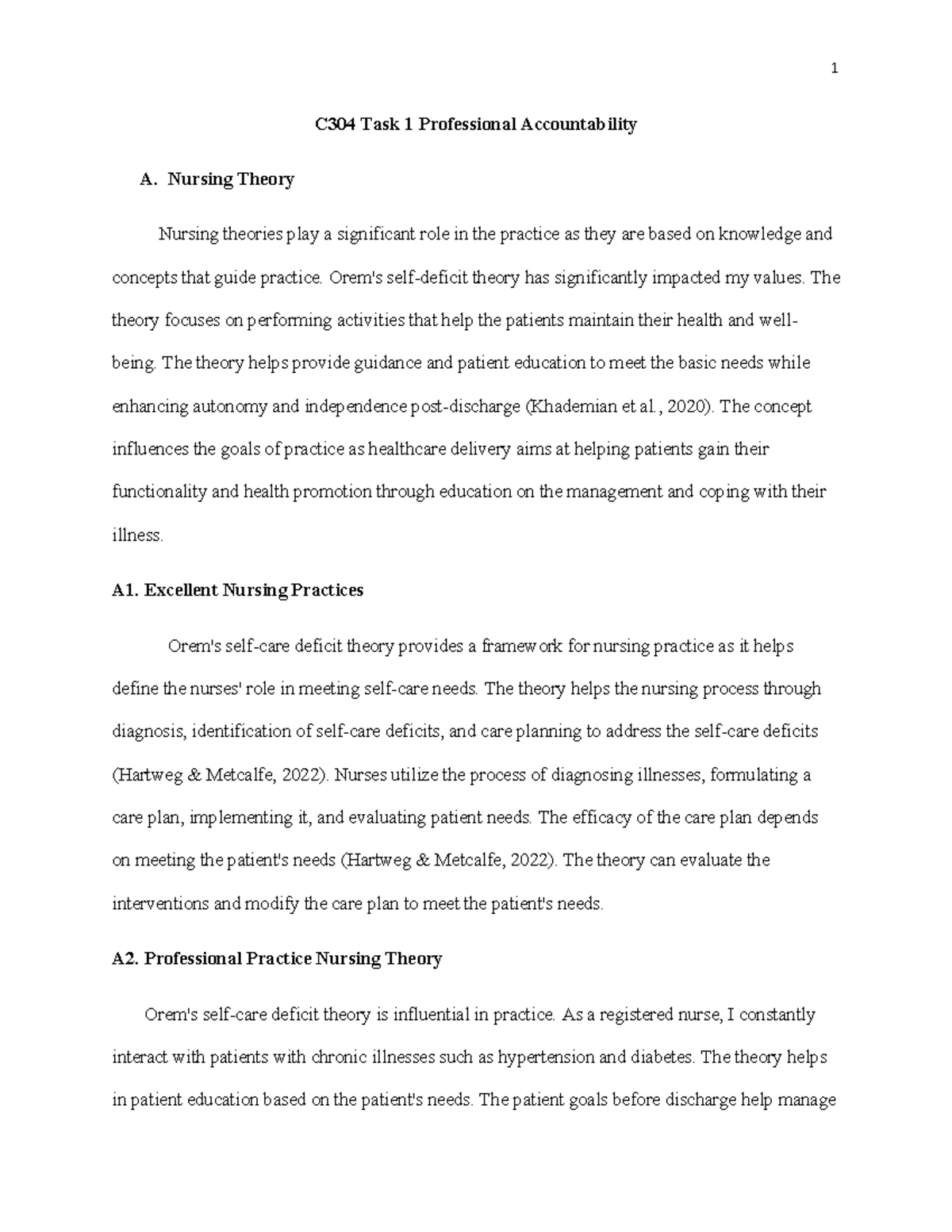 C304 Task 1: Professional Accountability in Nursing Theory and Practice ...