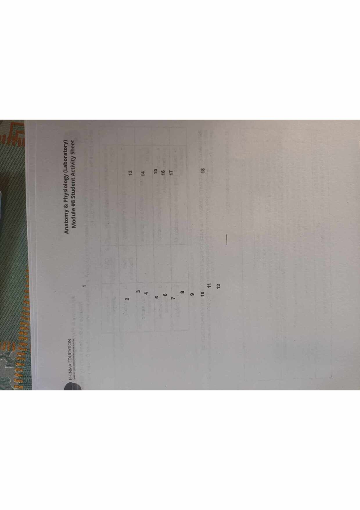 HES006 - Student Activity Sheet for Anatomy Physiology Lab Module - Studocu