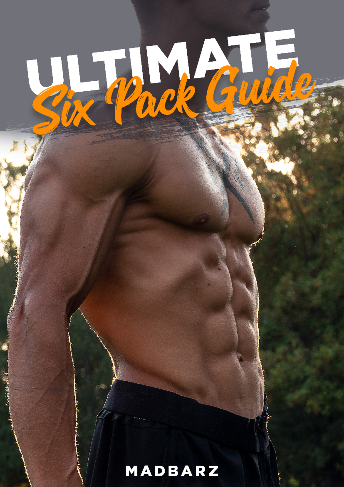 The Ultimate Sixpack Guide - TABLE OF CONTENTS 1. INTRODUCTION What ...