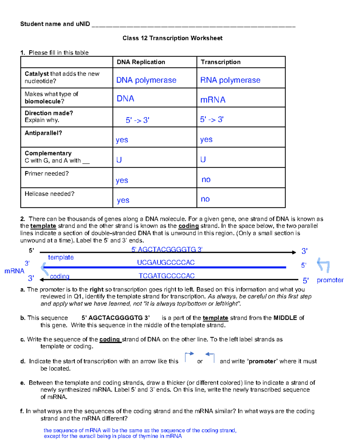 Worksheet 12 Transcription - Student name and uNID - Studocu
