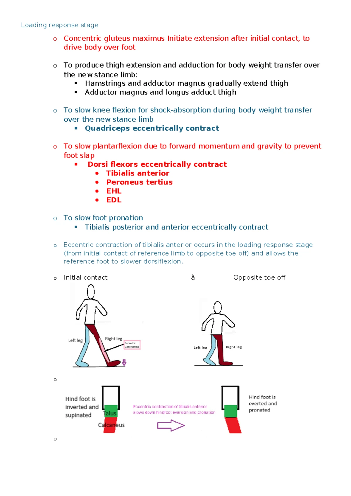 Gait Analysis Summary - HI123 - Studocu