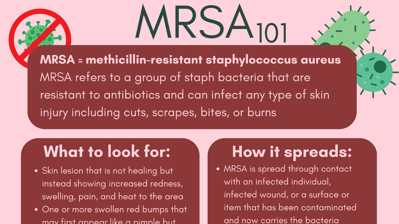 MRSA Infographic: Symptoms, Treatment, and Prevention Strategies - Studocu