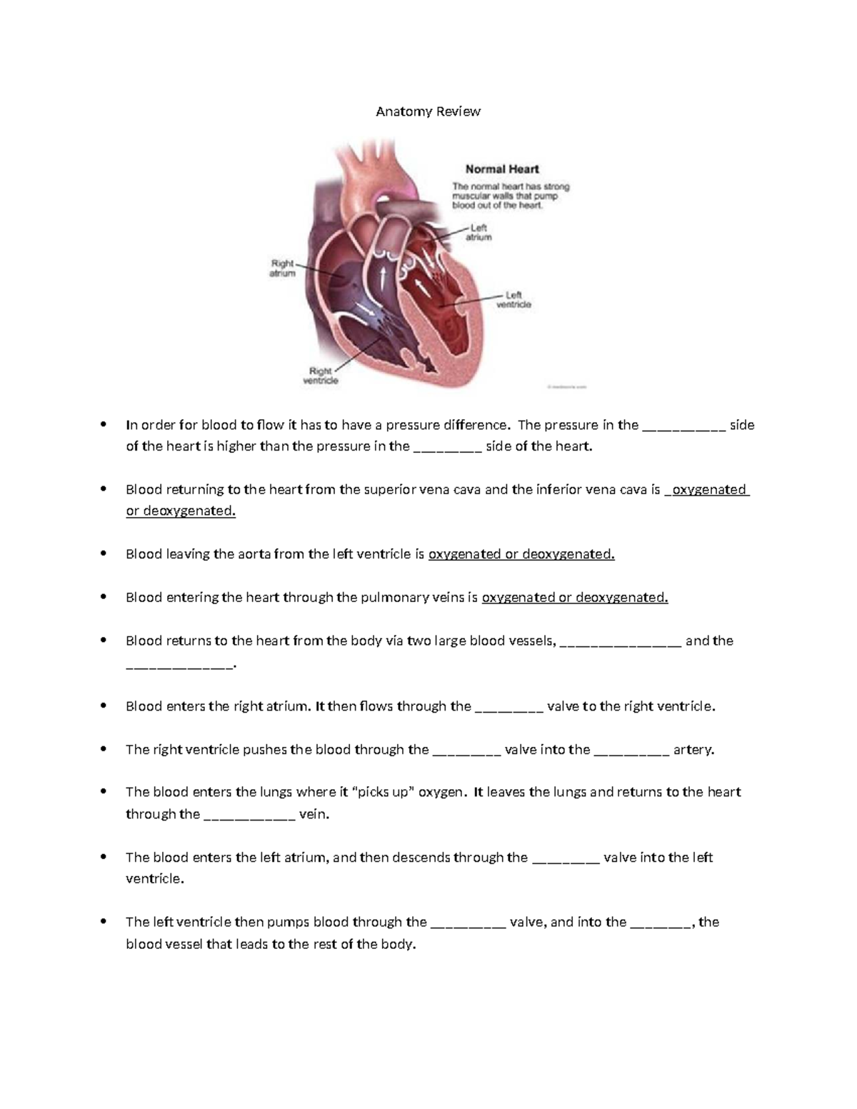 Anatomy and CHF Review: Understanding Cardiac Function and Treatment ...