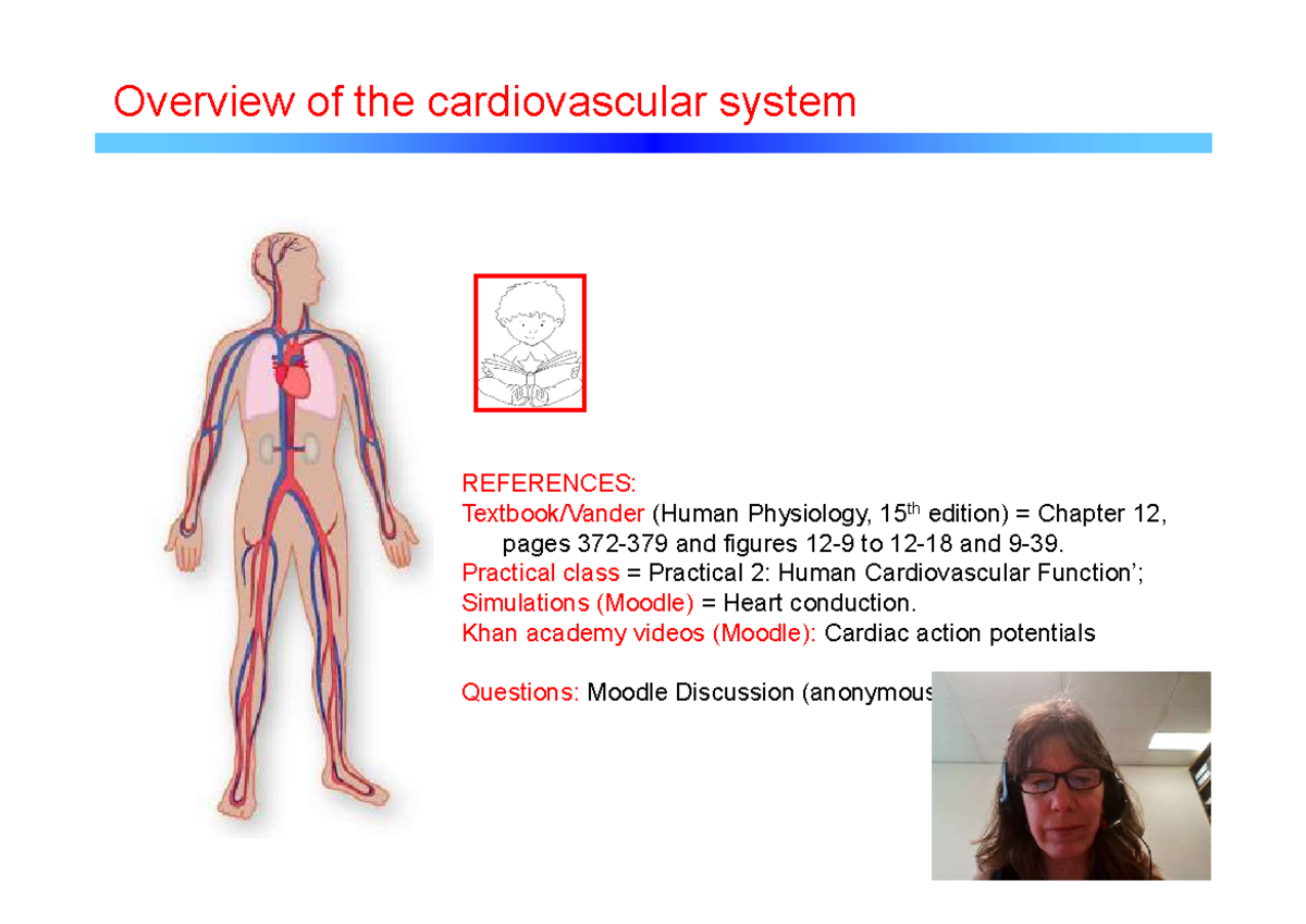 CVS 101: Lecture 1 Notes on Cardiovascular System Overview - Studocu