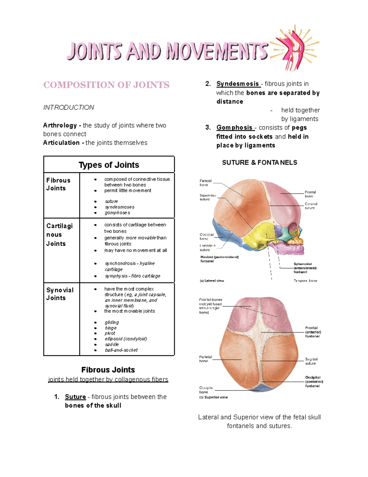 Joints and Movement - Group 7 Study Notes on Arthrology and Types - Studocu