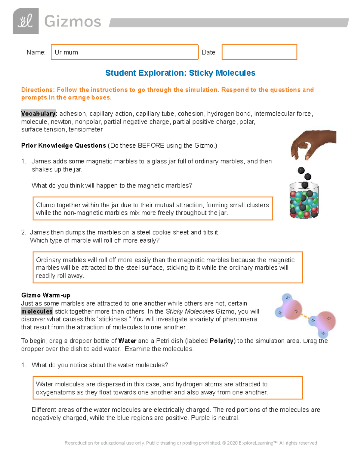 Sticky Molecules SE: Exploring Adhesion, Cohesion, and Surface Tension ...