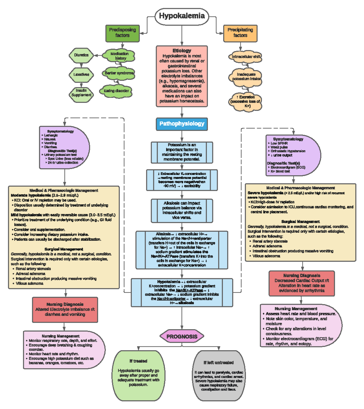 F Hypokalemia Concept Map - Hypokalemia Predisposing factors ...