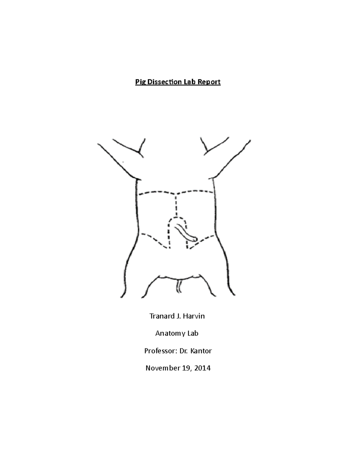 Anatomy Lab: Pig Dissection Report - Organs & Systems Overview - Studocu