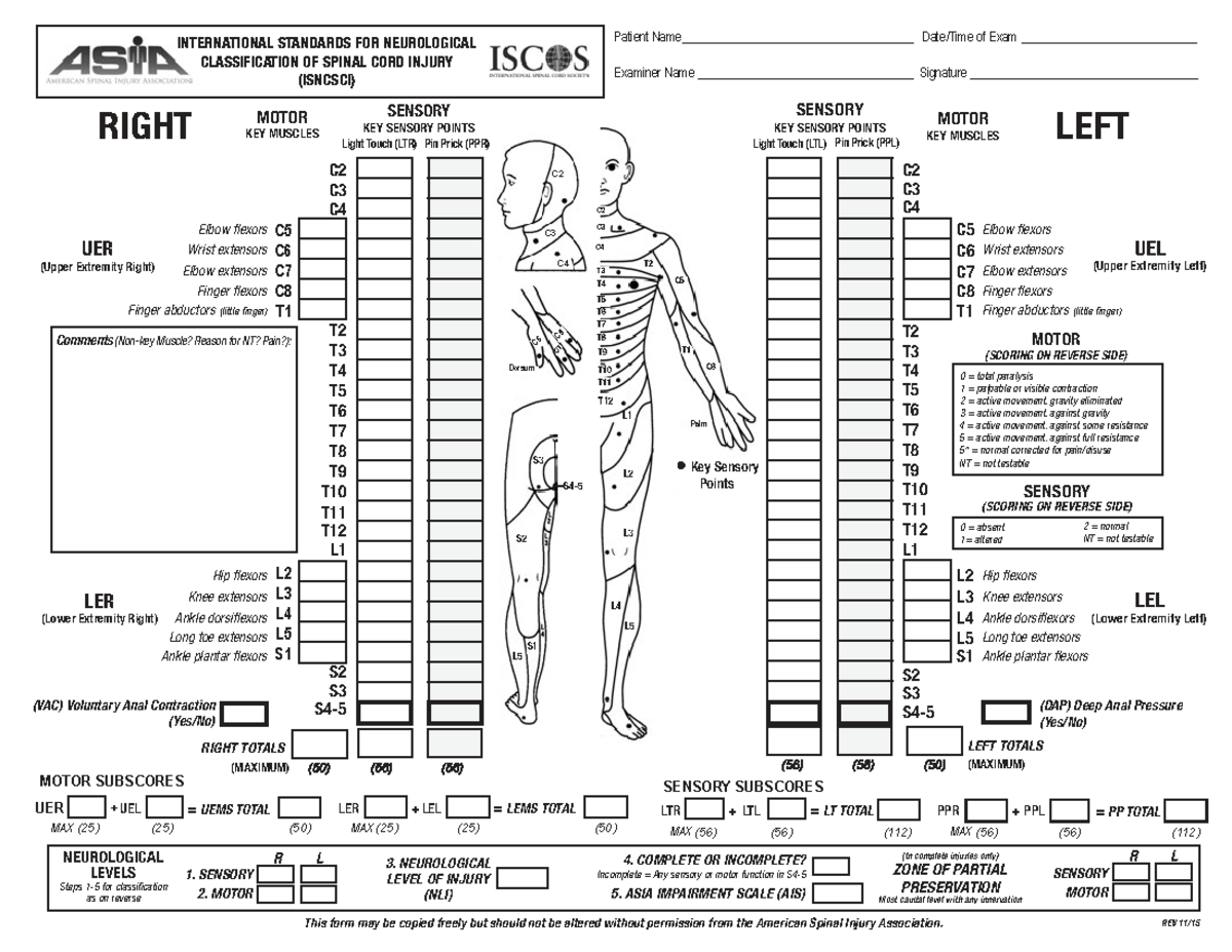 ASIA Spinal Cord Assessment Score Sheet (C3-C8, T1-T12) - Studocu