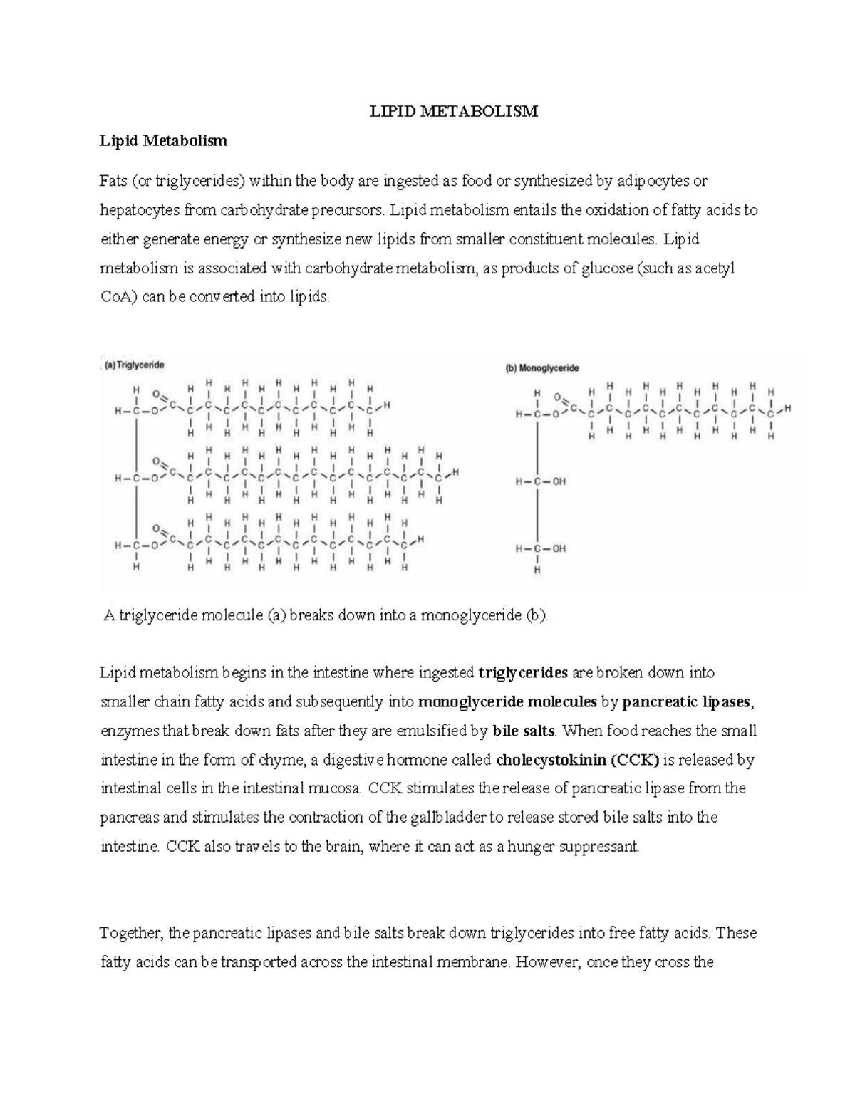 Lipid Metabolism Overview: Key Processes and Pathways - Studocu