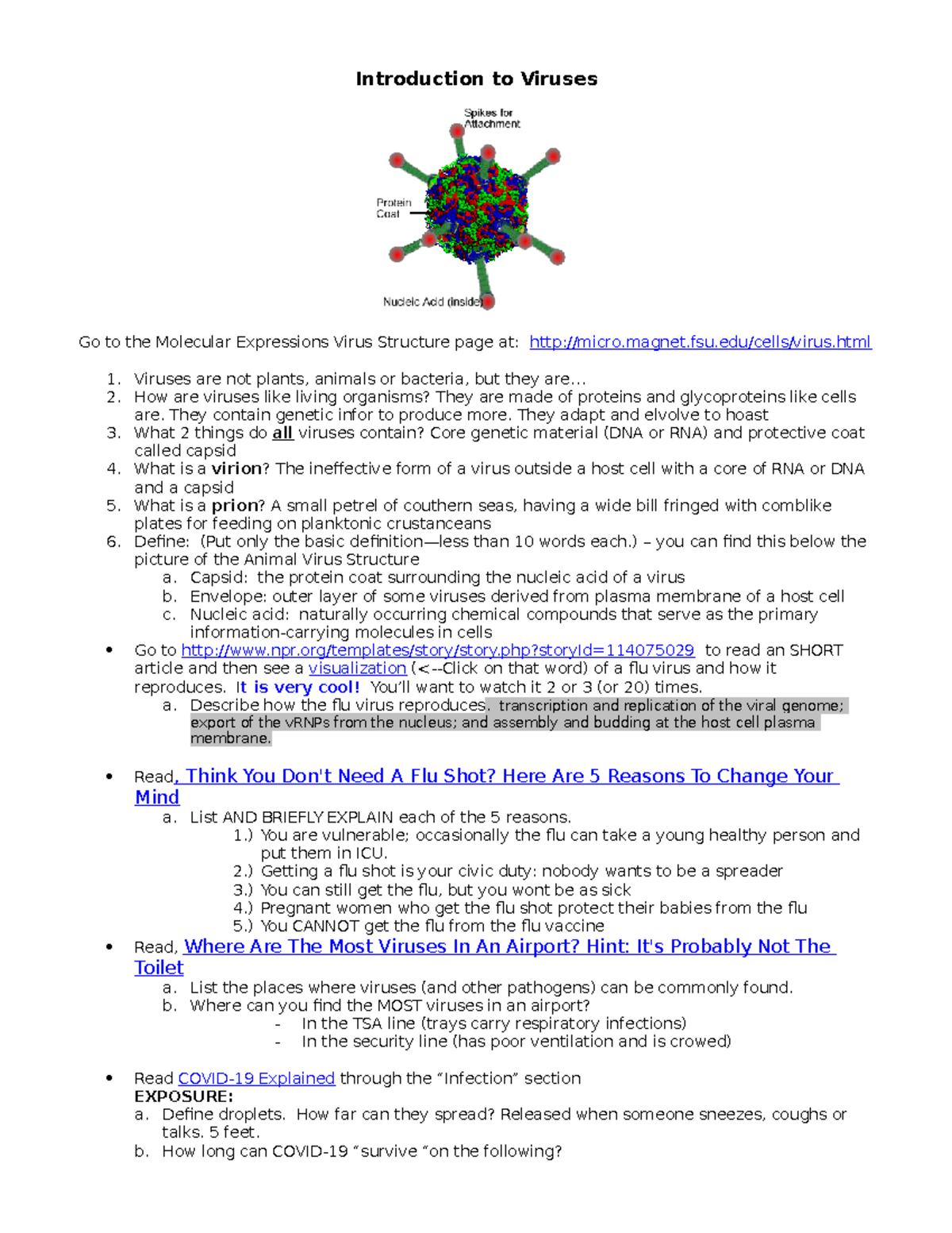 Viruses Webquest 2023 - Overview of Virus Structure and Infection - Studocu