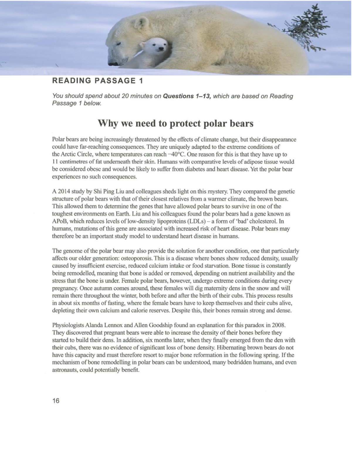 Cam 16 - Test 1 - Reading: The Importance of Polar Bear Conservation ...