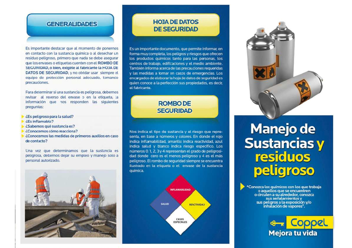 5.2.4. Manejo de sustancias y residuos peligrosos. - GENERALIDADES HOJA ...