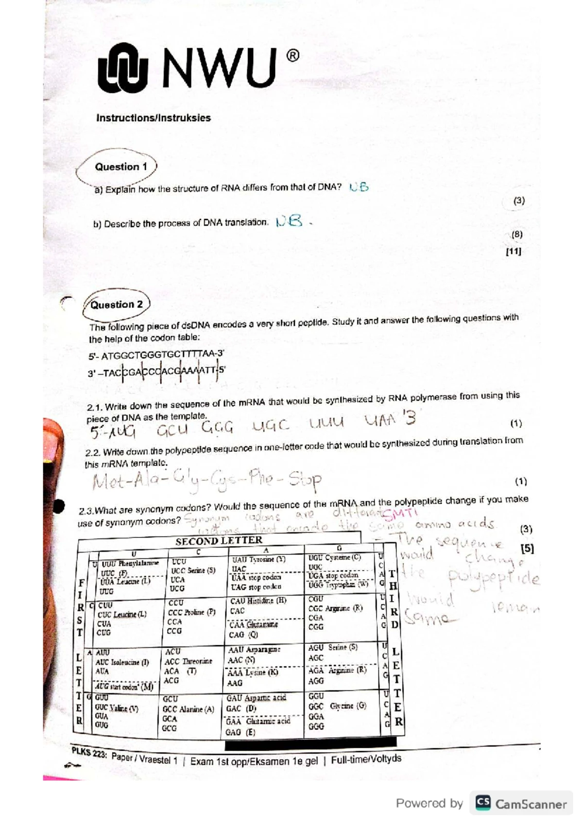 PLKN213 Molecular Biology Exam Review: Genomes, DNA, and Vectors - Studocu