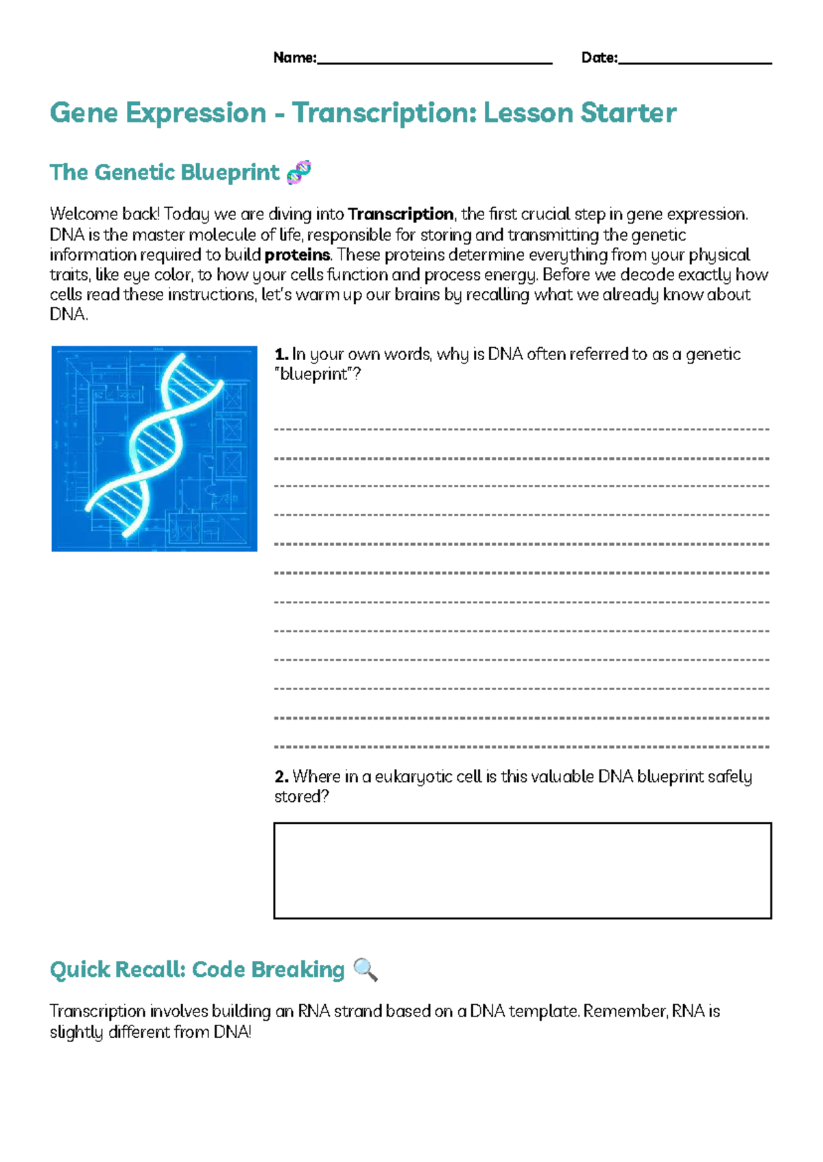 Gene Expression Transcription: Lesson Starter (14) - Studocu