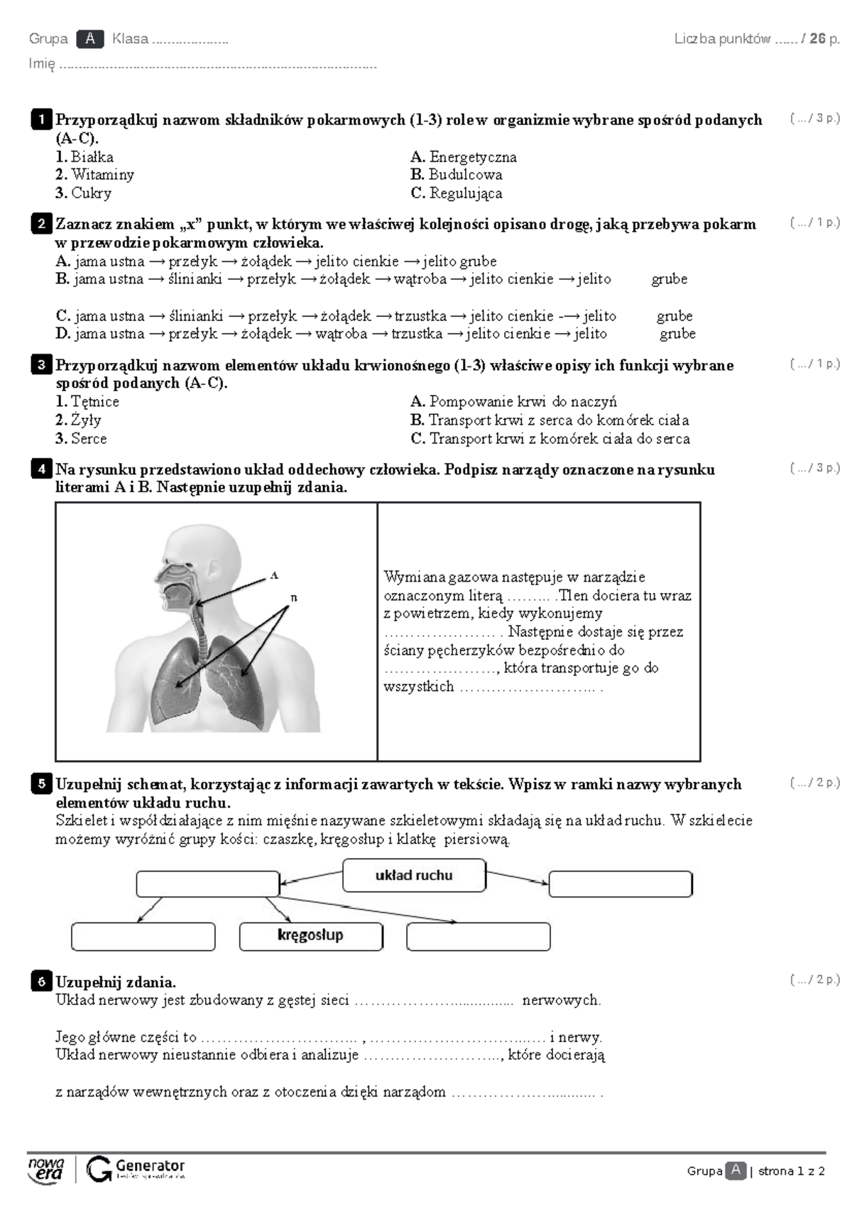 Test z działu 4: Odkrywamy tajemnice ciała człowieka (z punktacją