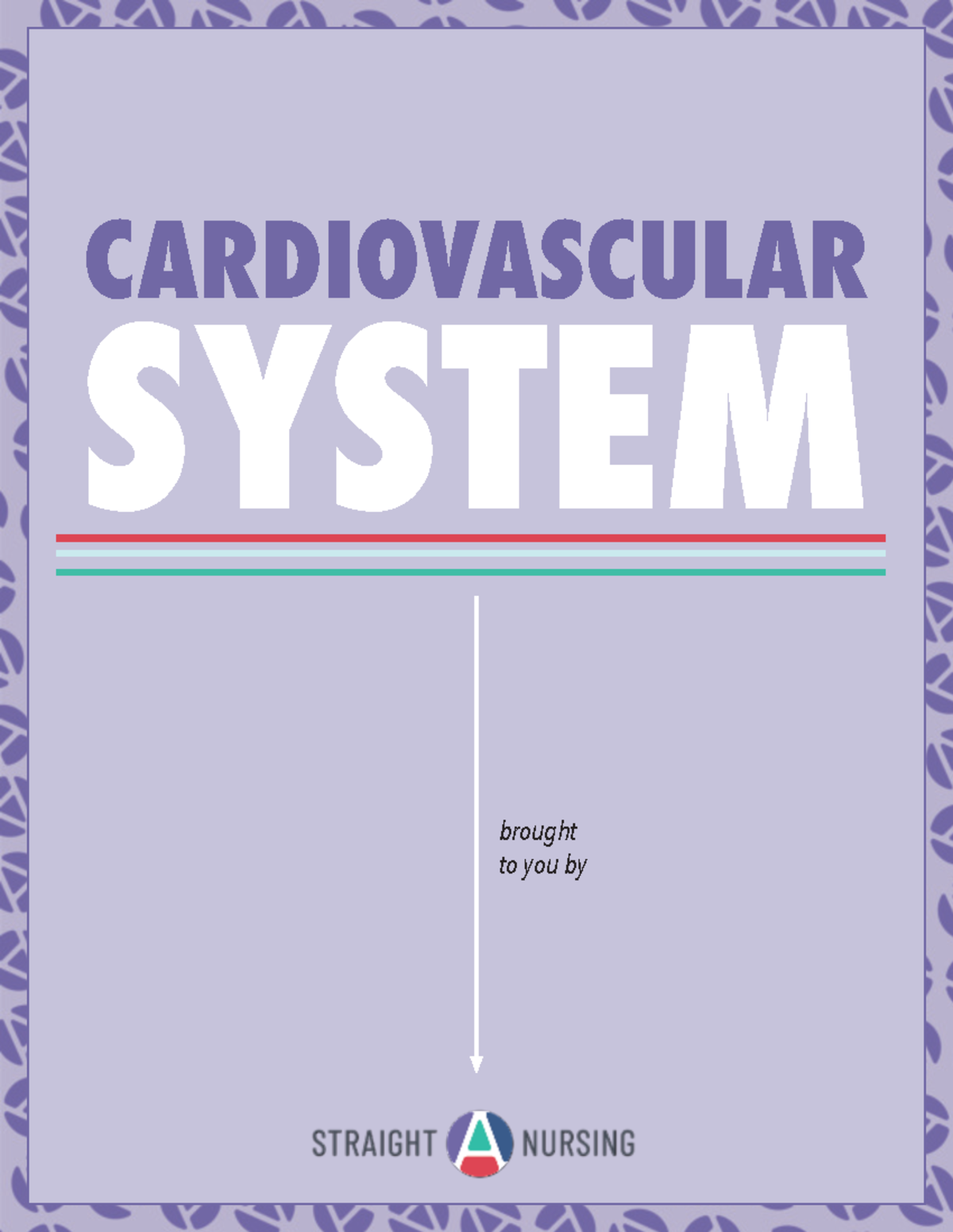 Cardiovascular System Study Guide - NURS 101 Final Exam Notes - Studocu