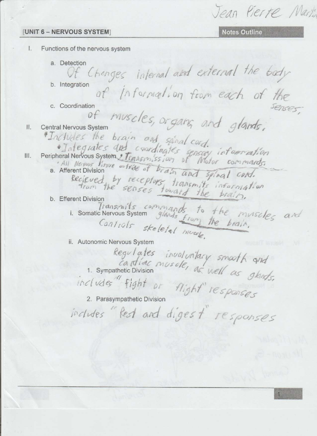 Nervous system notes outline for biology 101 - Studocu