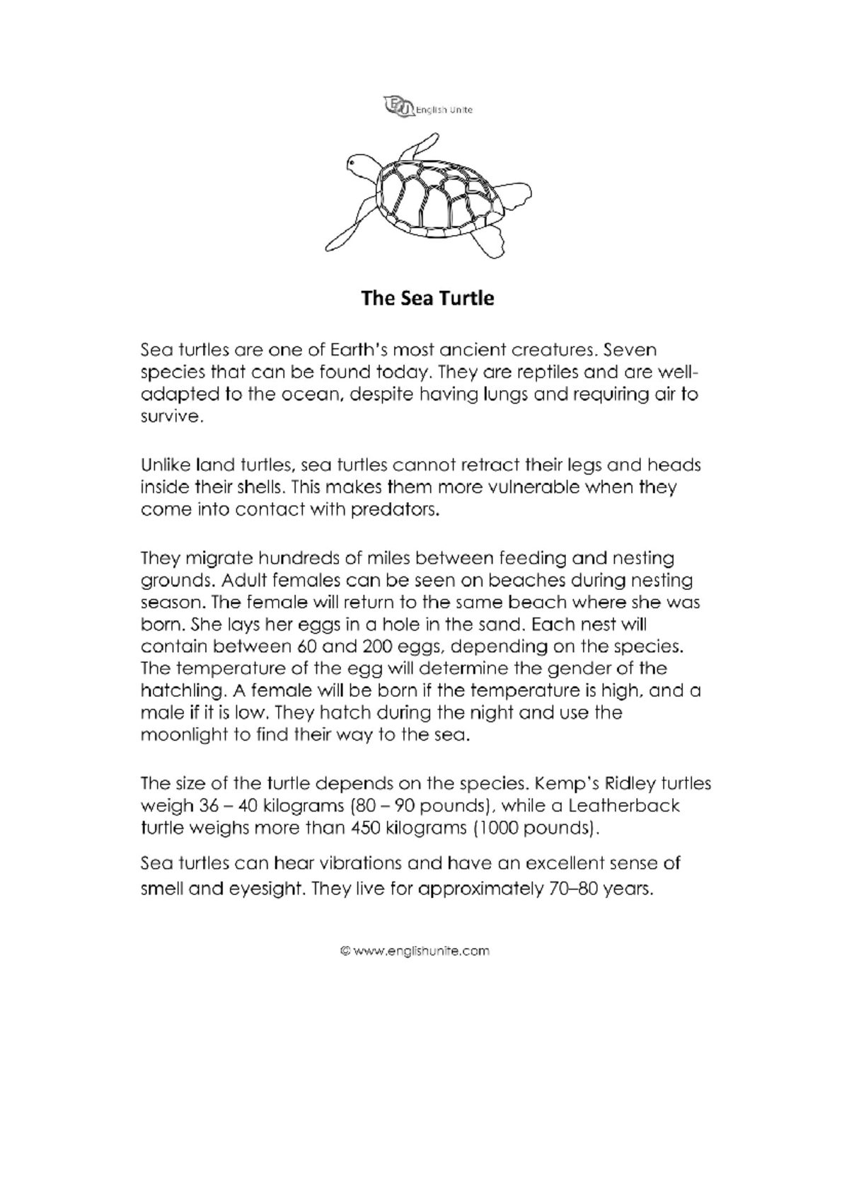 The Sea Turtle - Essay on Their Life and Migration Patterns - Studocu