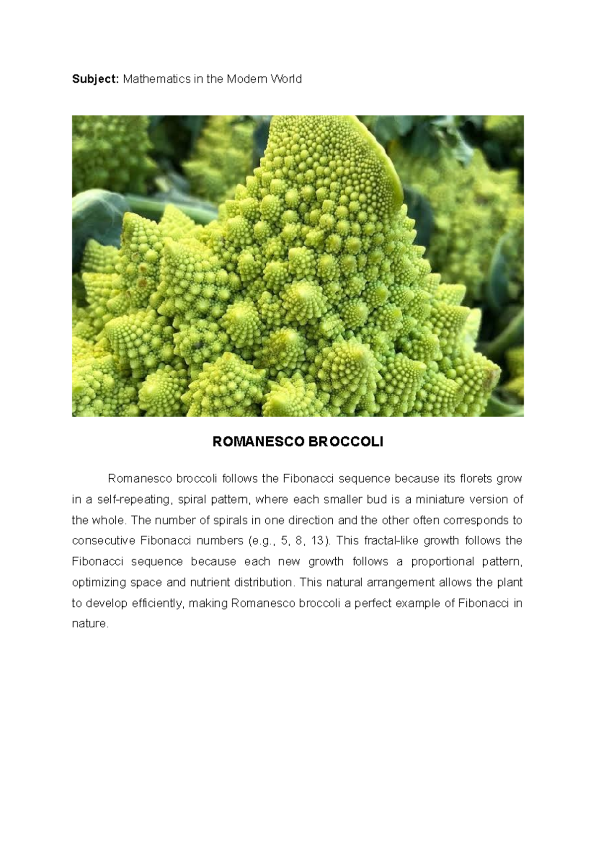 Mathematics in Nature: Fibonacci Patterns in Romanesco & Trees - Studocu
