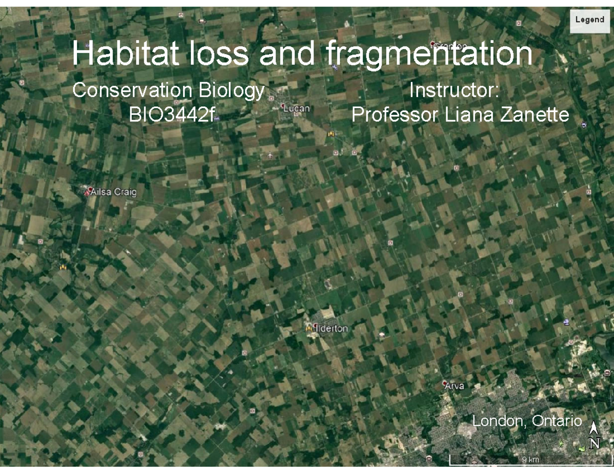 BIO3442f: Habitat Loss and Fragmentation Case Study - Red Knot - Studocu