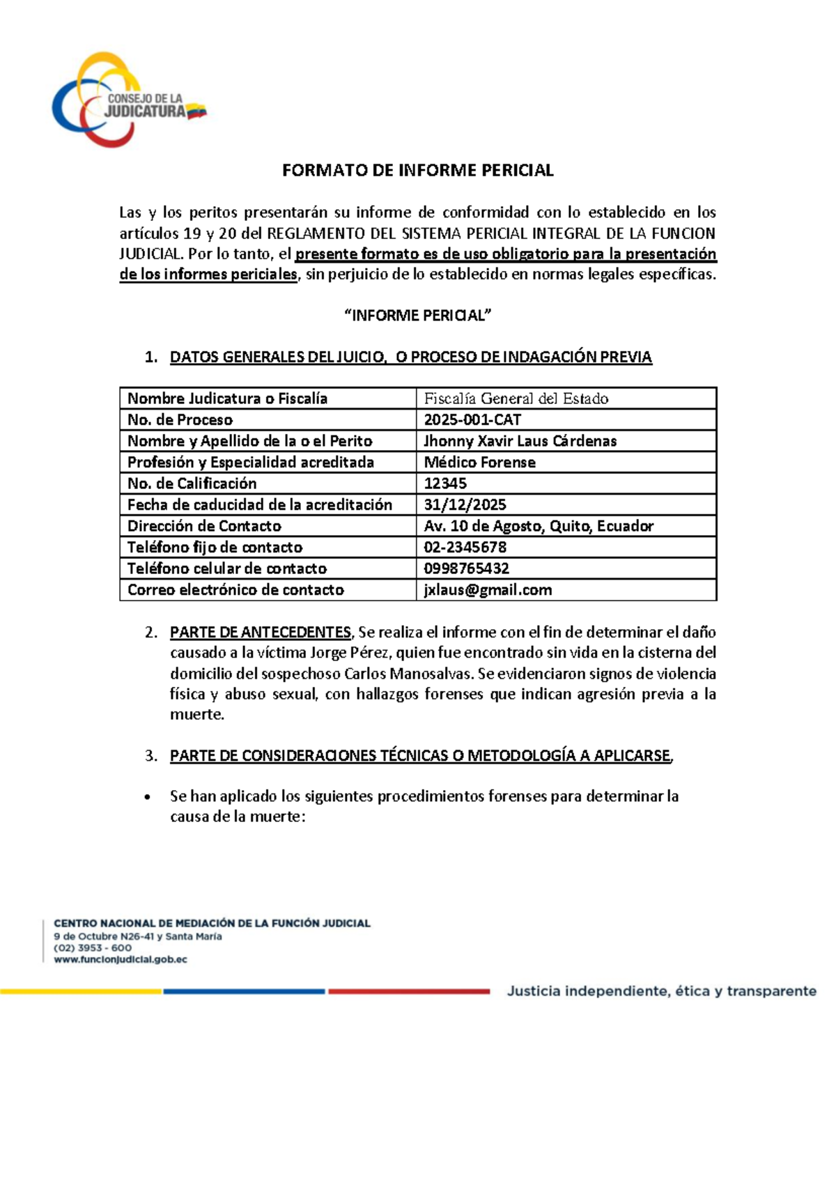 Informe Pericial Forense de Jorge Pérez por Jhonny Laus - 2025 CAT - Document Preview