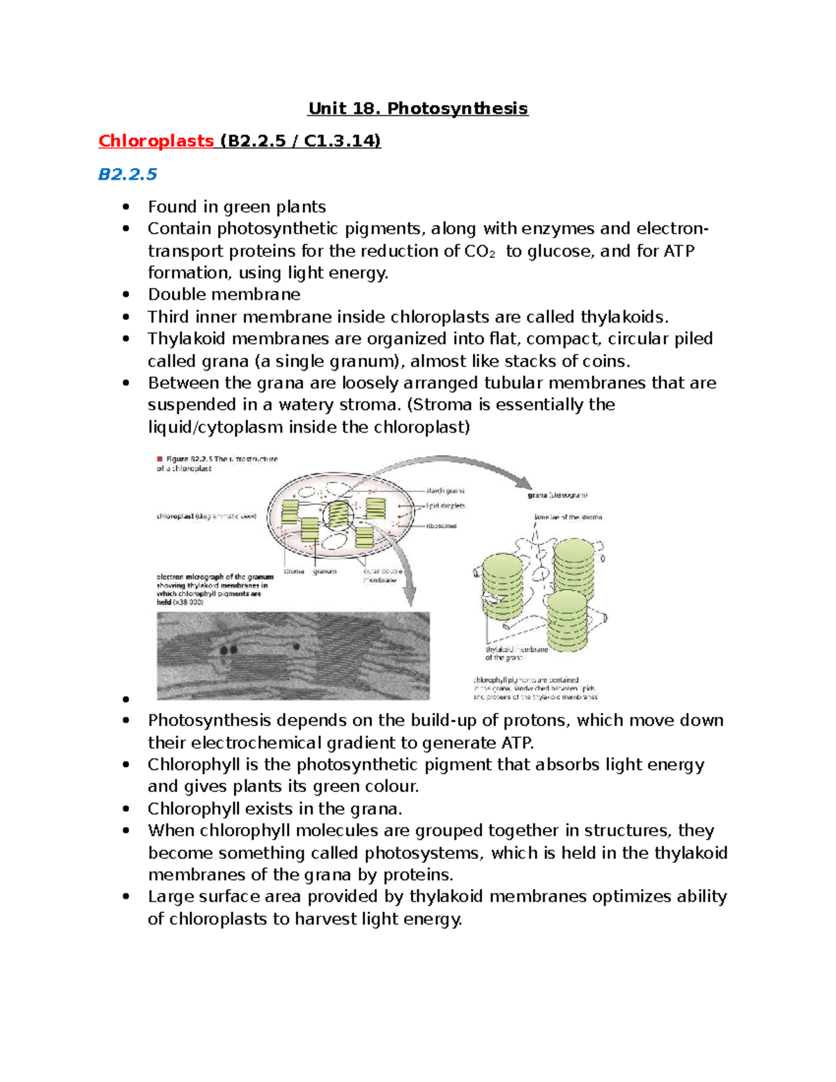Unit 18: Photosynthesis and Chloroplast Function (B2.2.5 C1.3.14) - Studocu