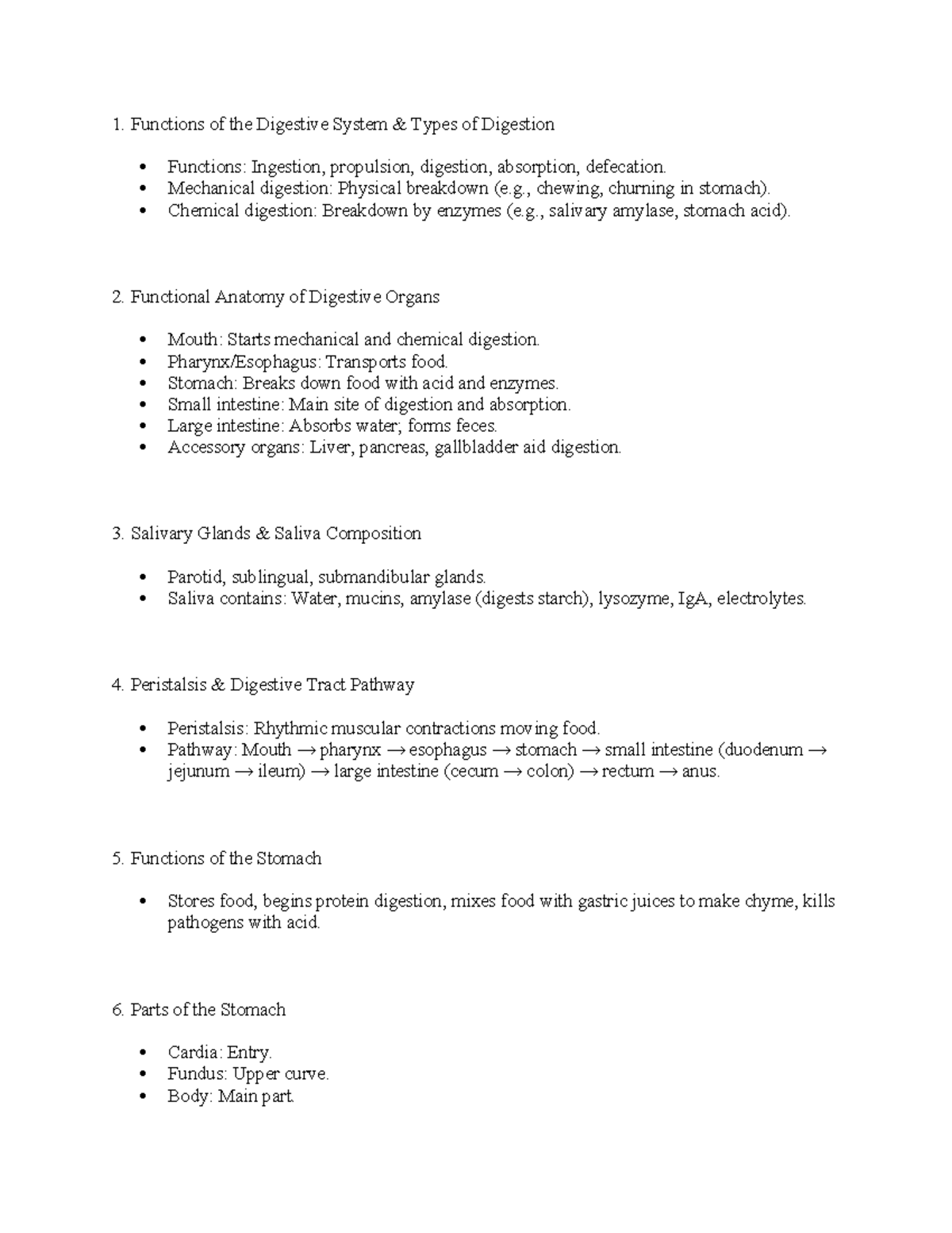 Functions and Anatomy of the Digestive System: Key Insights Overview ...