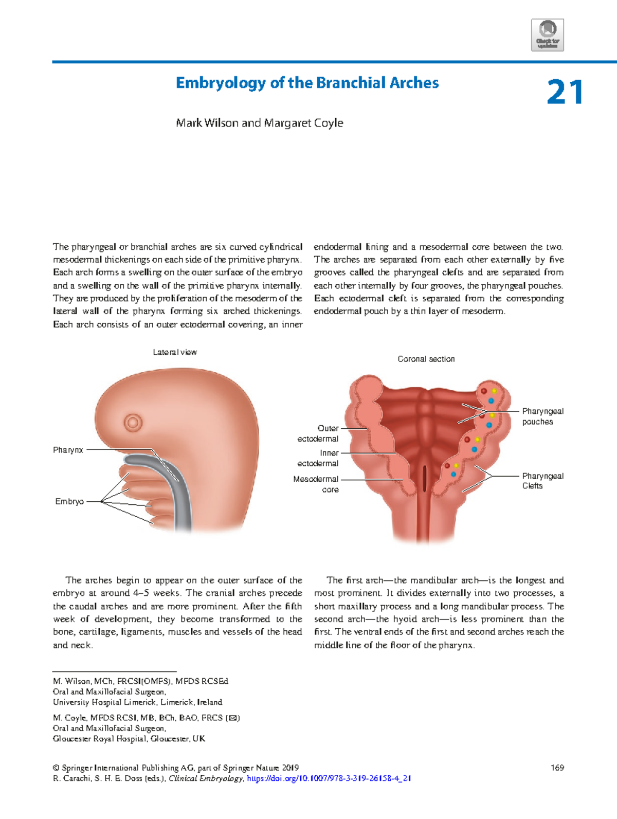 Embryology of the Branchial Arches - Key Concepts and Anomalies - Studocu