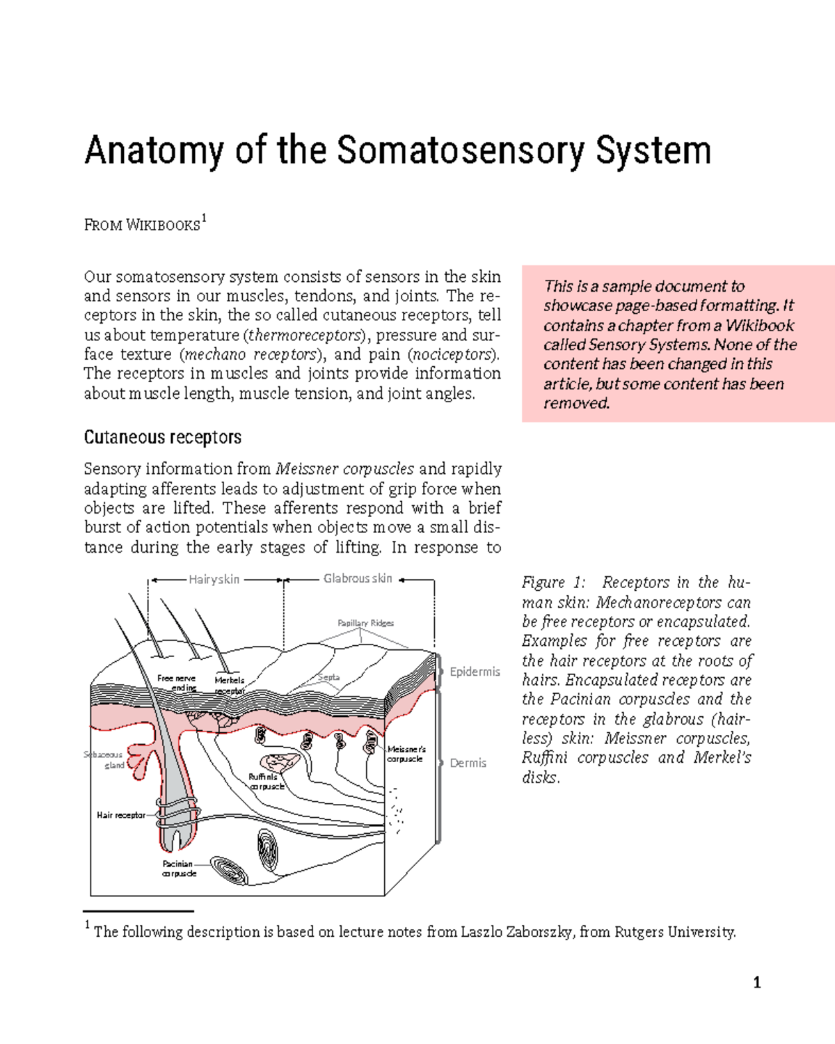 Anatomy of the Somatosensory System: Chapter Overview (Course Code: 1 ...