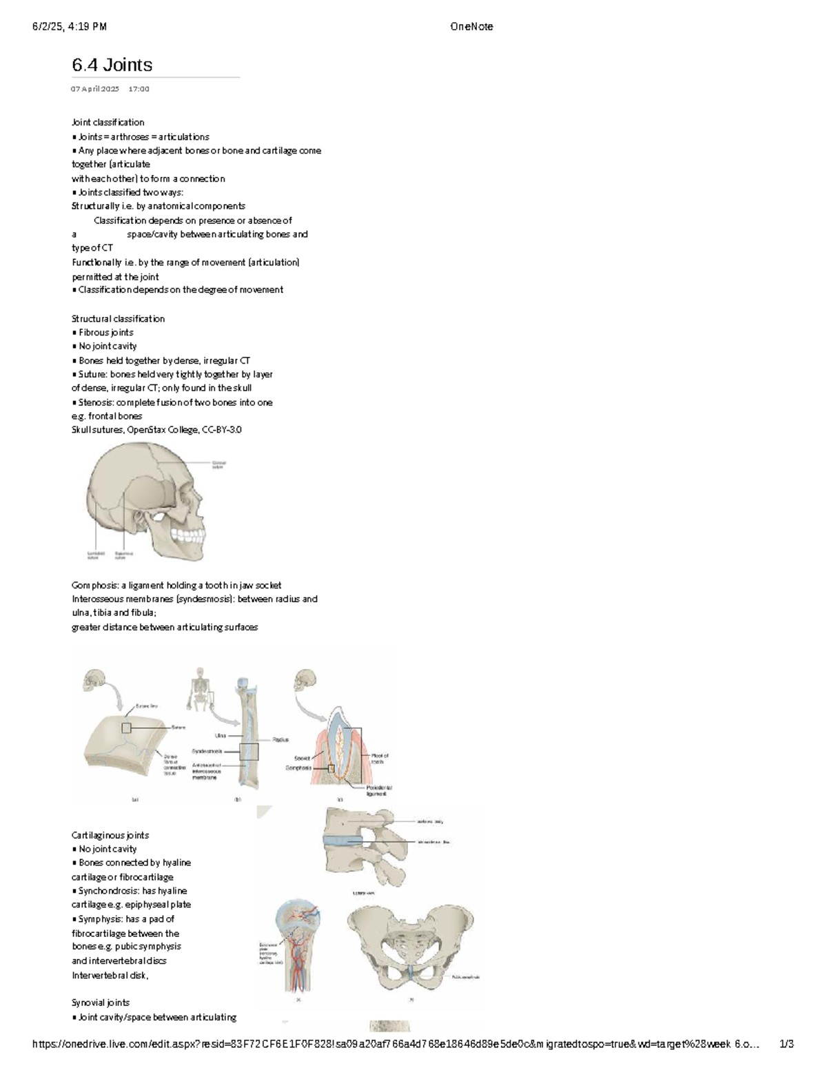Joint Classification: Structural & Functional Overview (Course Code: 6 ...