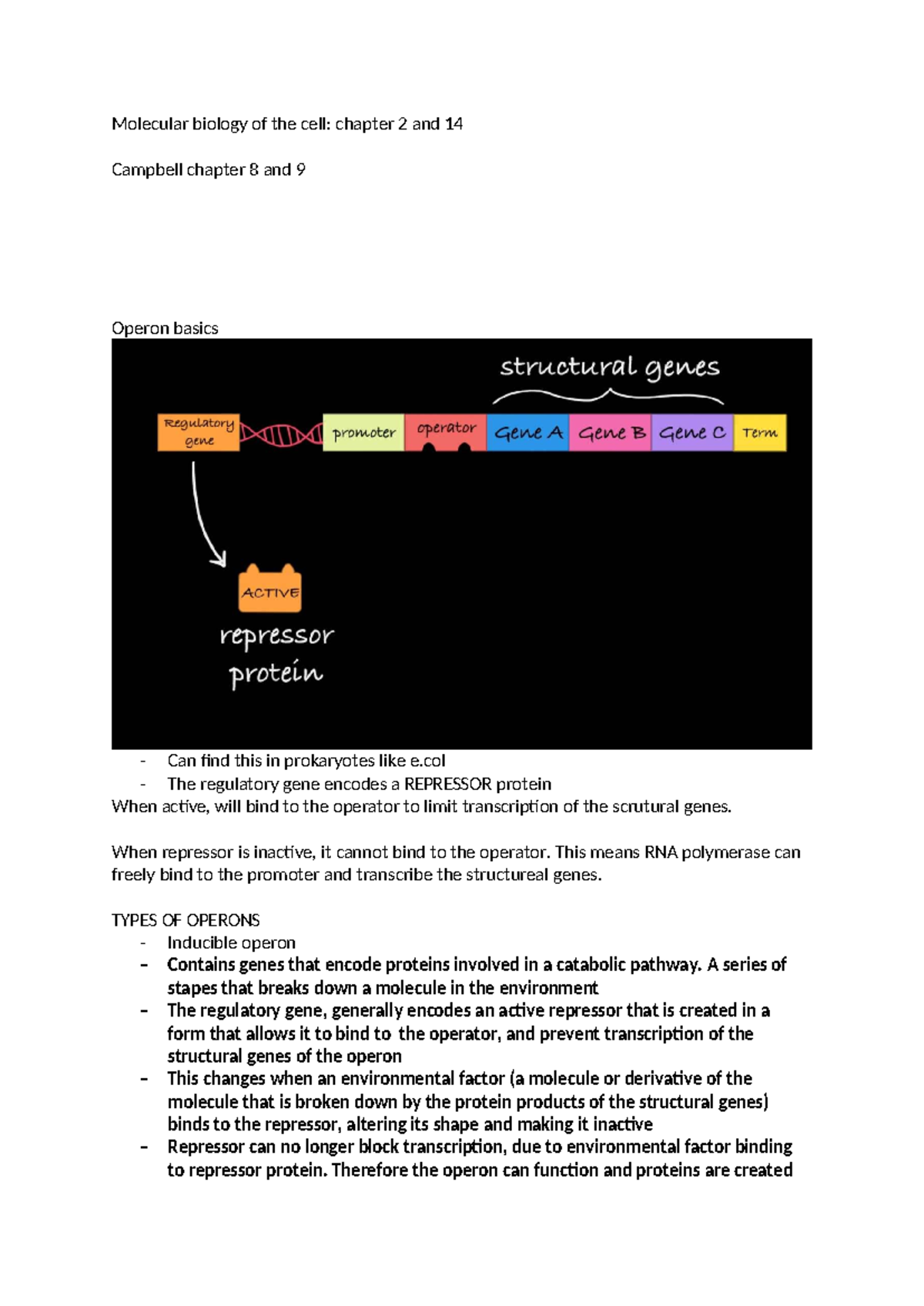 Lac and Trp Operon Notes: Molecular Biology (BIO 101) - Studocu