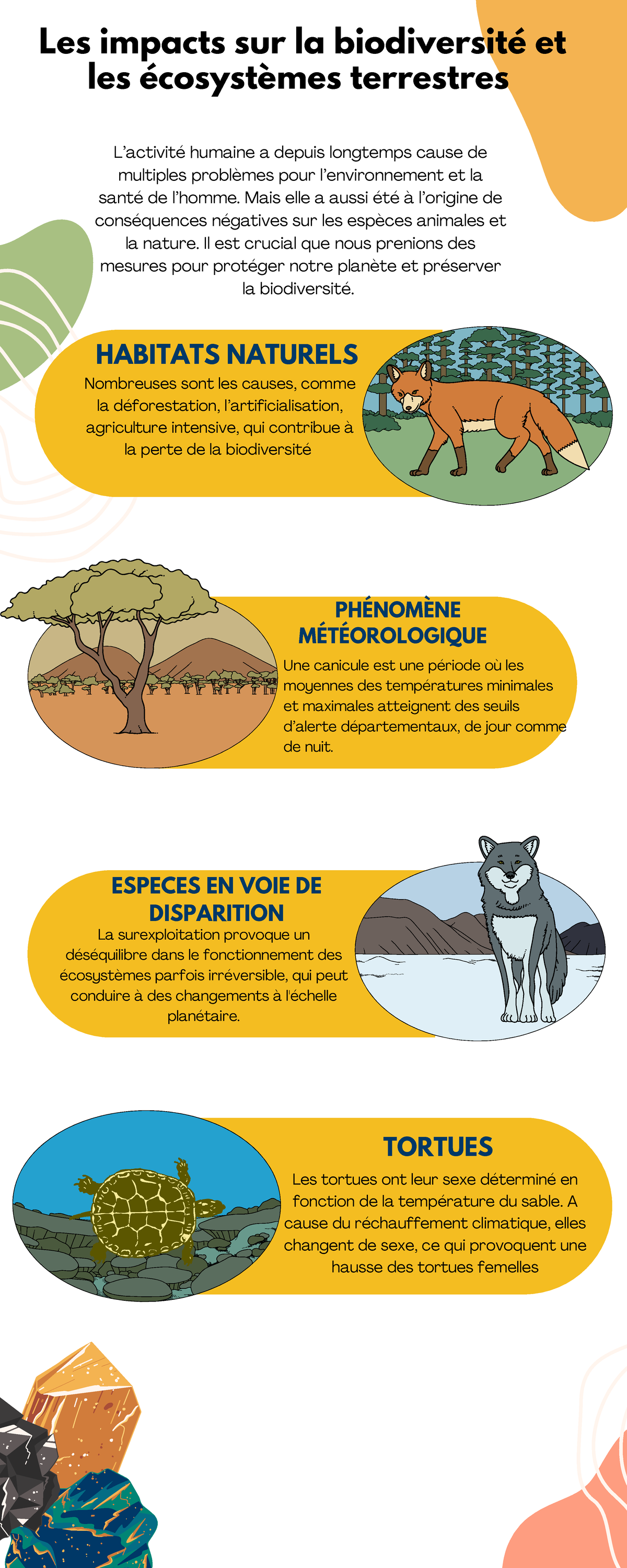 Affiche Les impacts de l'activité humaine sur la biodiversité - Les ...