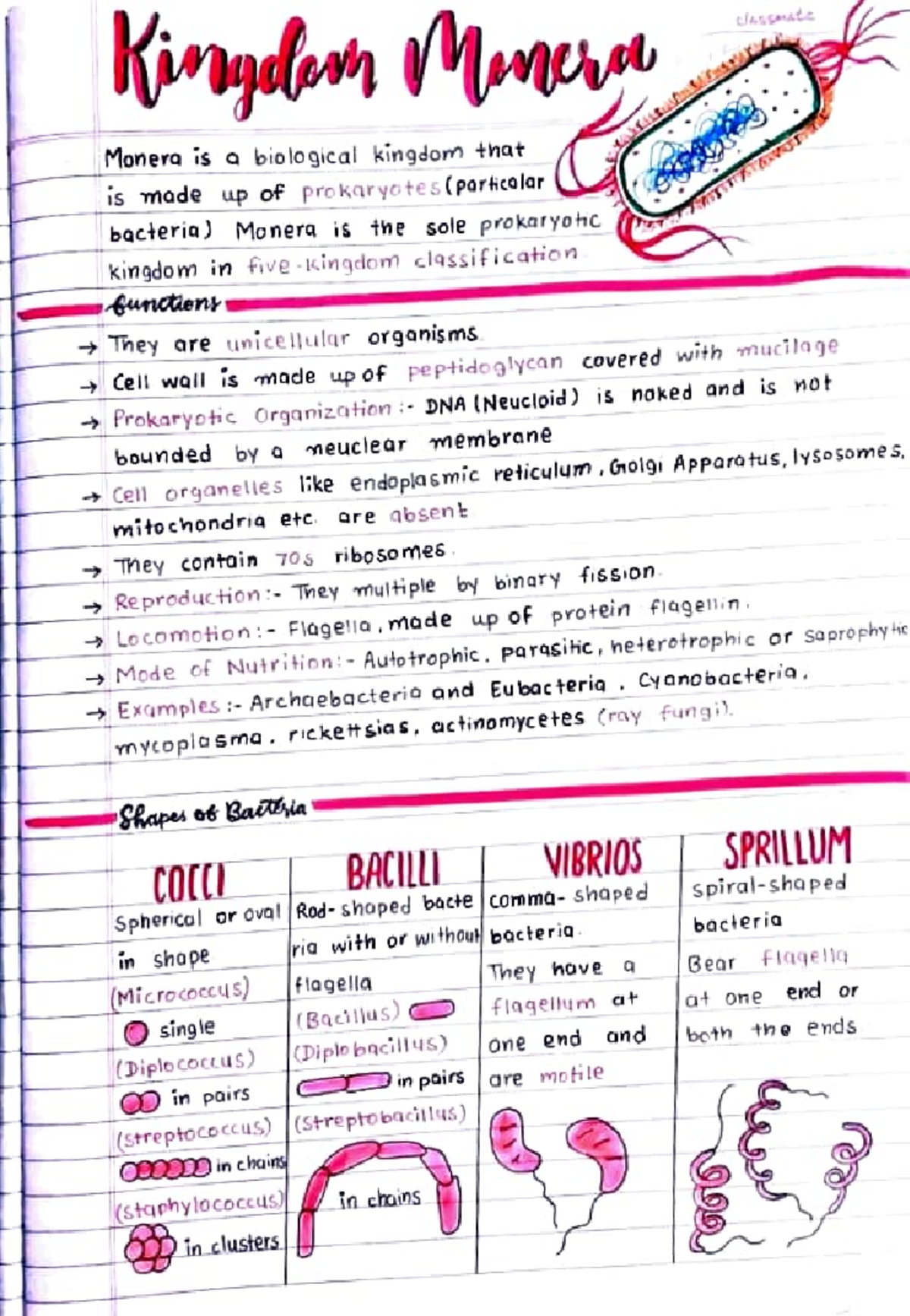Kingdom Monera: Overview of Prokaryotic Bacteria and Their Characteristics  - Studocu