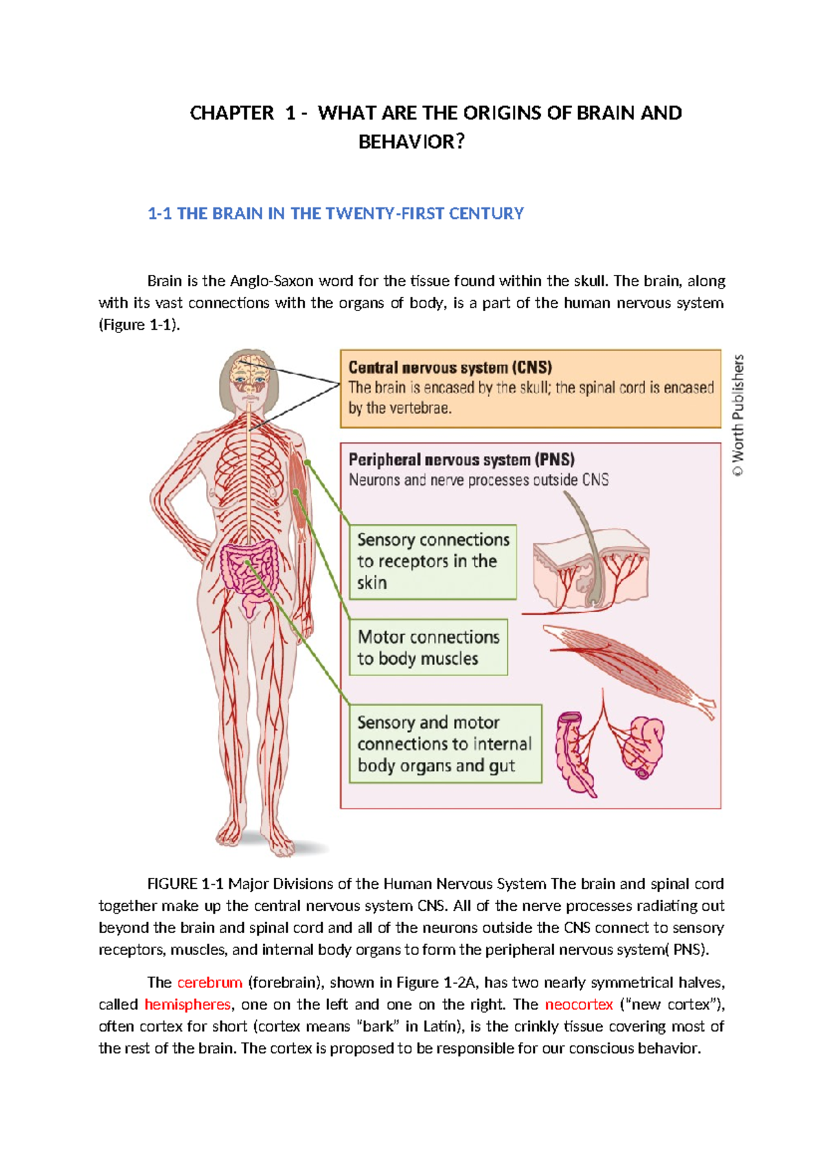 Chapter 1 Summary: An Overview of Brain and Behavior Origins - Studeersnel