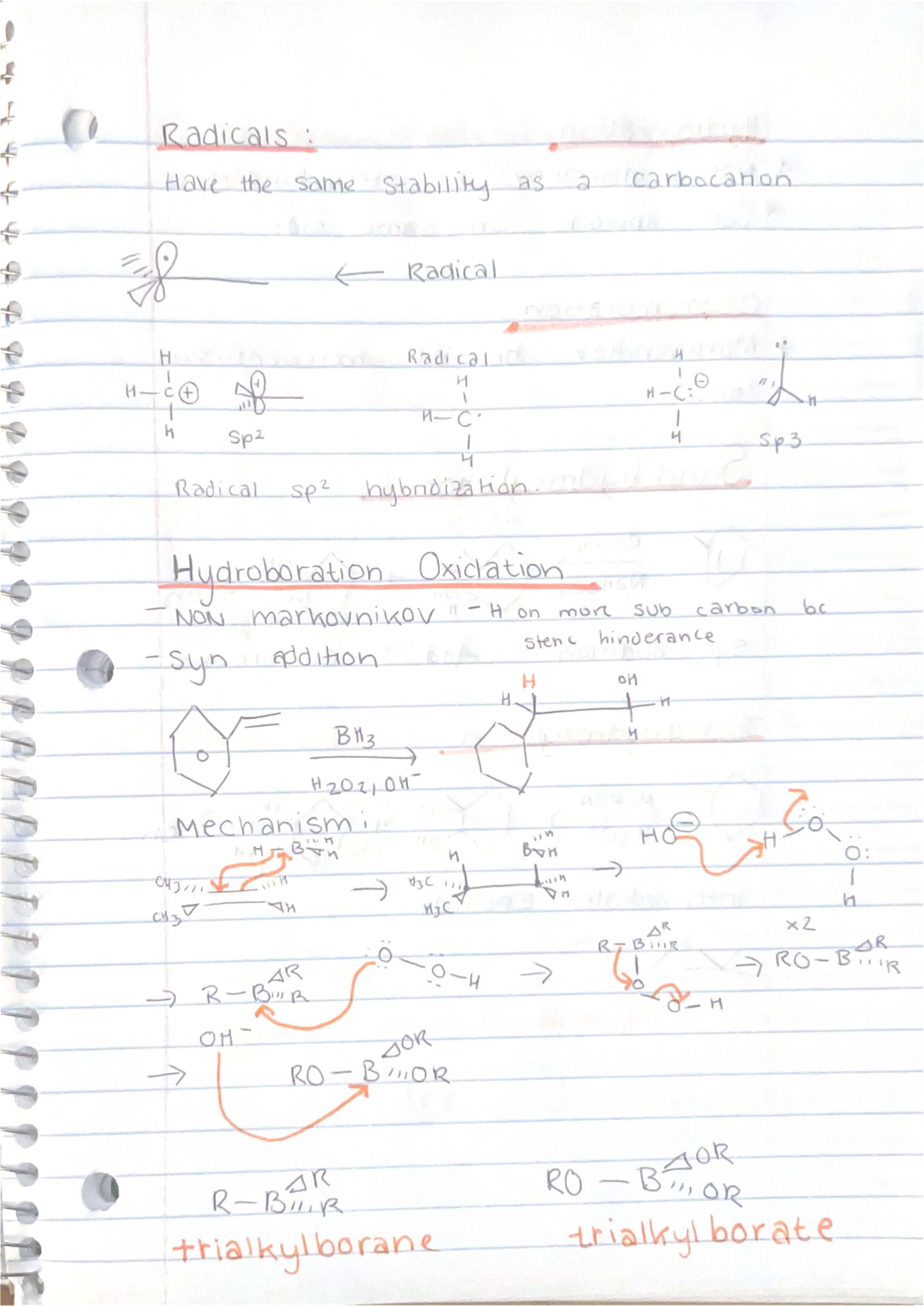 Midterm Study Guide: Radicals and Their Stability in Organic Chemistry ...