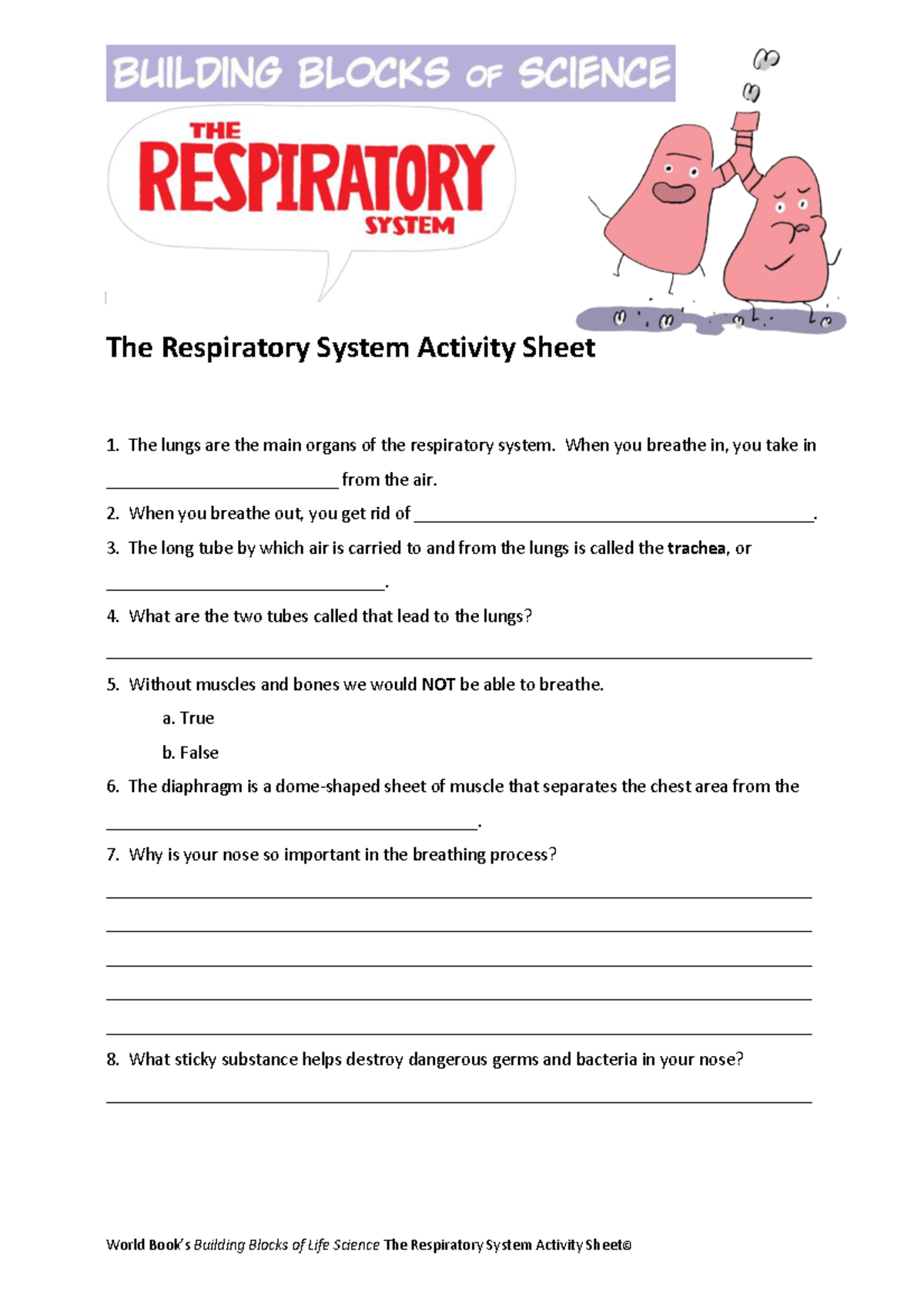 Respiratory System Activity Sheet: Understanding Key Concepts - Studocu