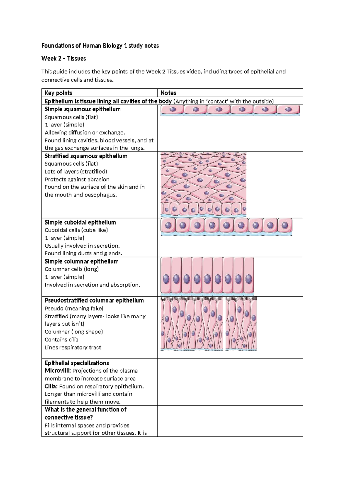 2 FHB 1 Week 2 Study Notes: Tissues and Epithelial Types - Studocu