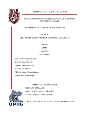 Medio SIM - Uso, fundamento, composición e interpretación de resultados ...