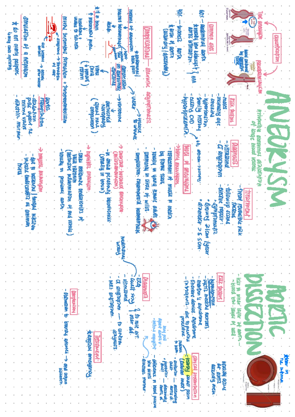 Bone Pathology - MSK Notes (Final Exam) - Studocu