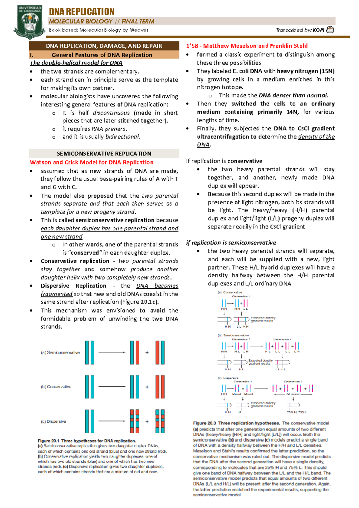 Molecular Biology (BIO 101) Final Exam Notes: DNA Replication & Repair ...