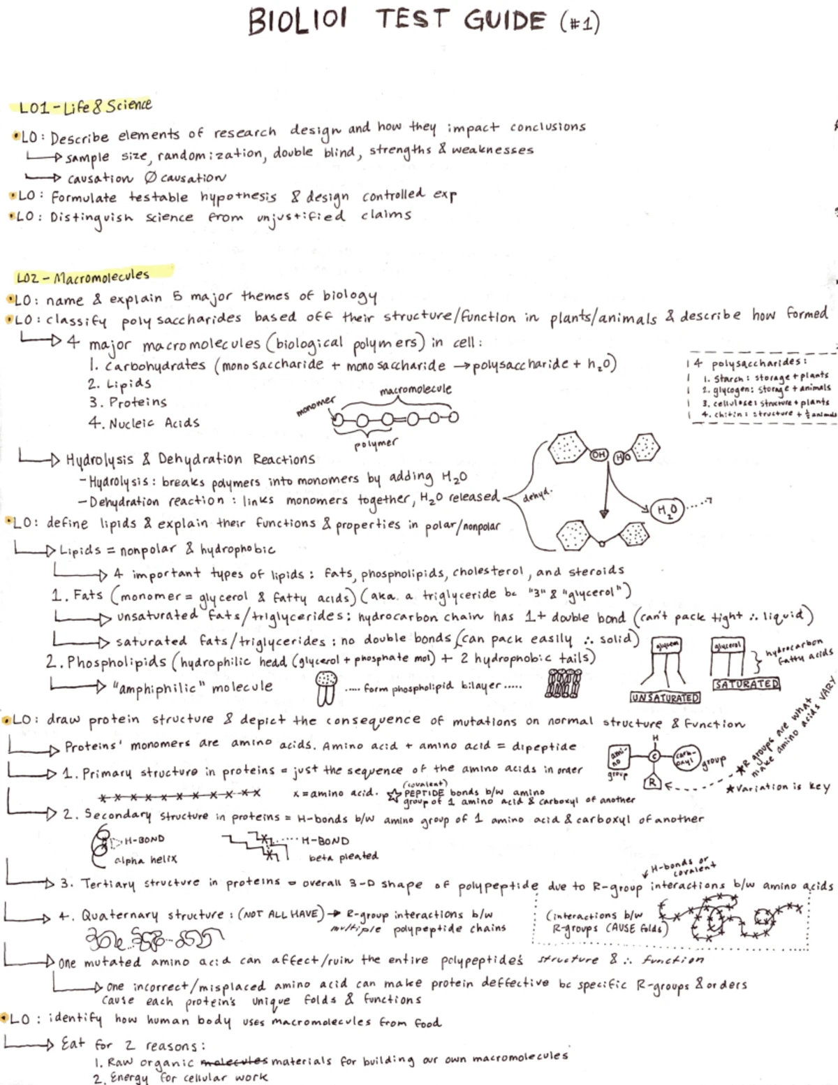 BIOL 101 Final Exam Study Guide - BIOL 101: Introductory Biology Final ...