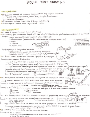 BIOL 101 Exam 1 Study Guide: Key Topics & Review Strategies - Studocu