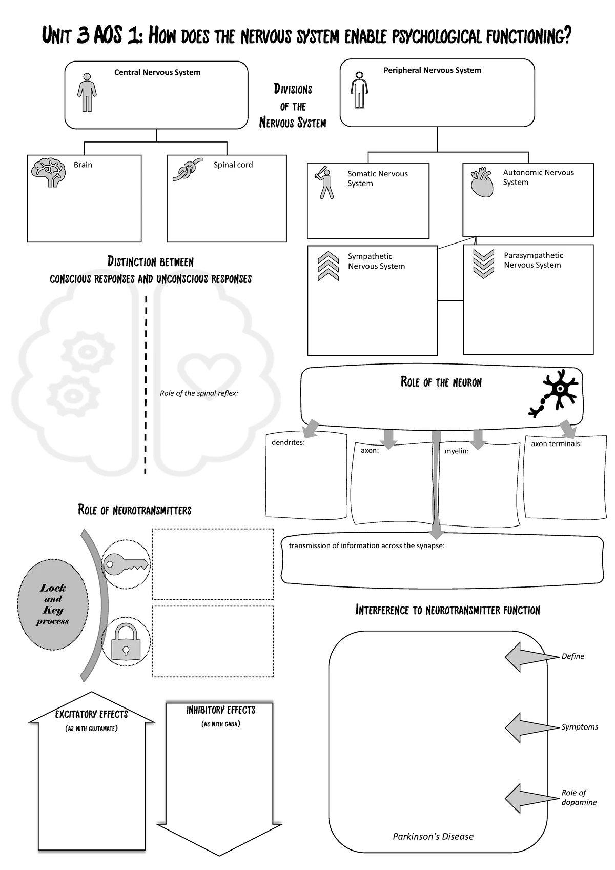 2023 PSYCHOLOGY Unit 3 KTT 1 - Nervous System Solutions Guide - Studocu