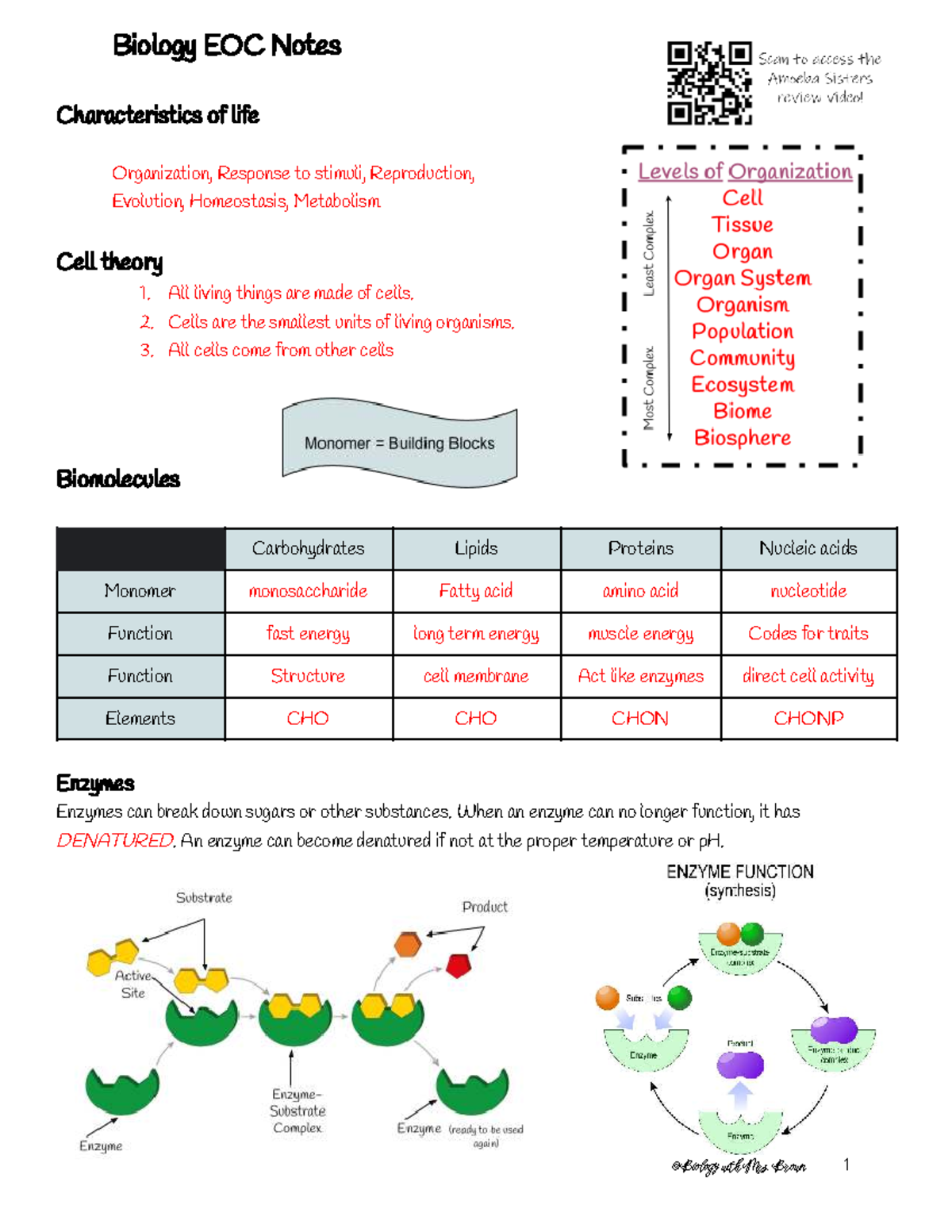 Biology EOC Notes Updated (2023) - Key Concepts Covered - Studocu