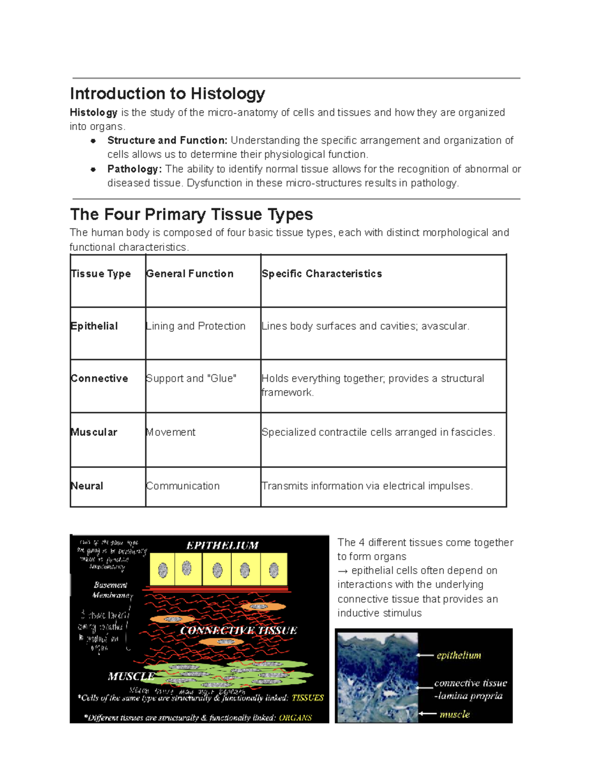 ANAT2008 Lecture Notes: Introduction to Histology and Tissue Types ...