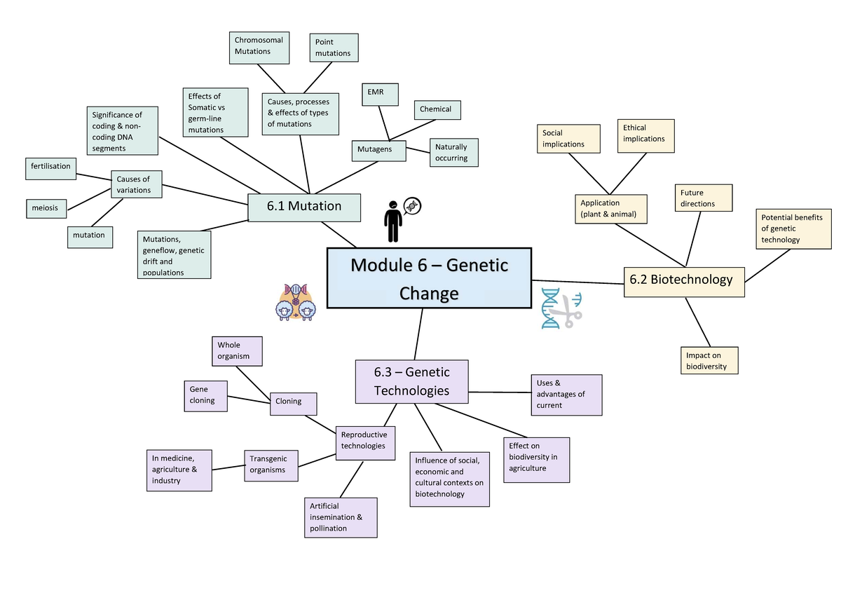 Module 6 Mind Map: Chromosomal Mutations & Genetic Technologies - Studocu