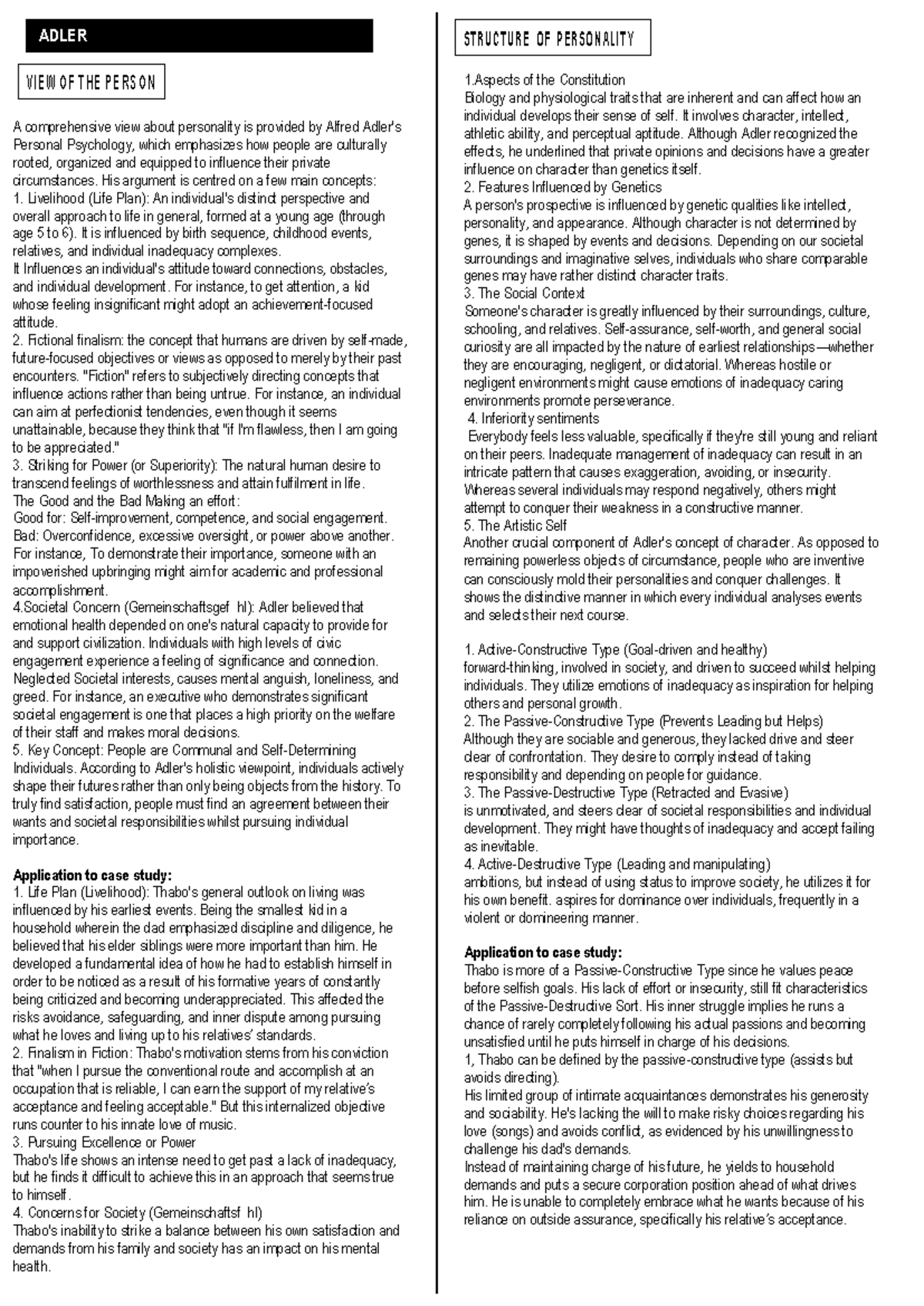 Adler template - Copy - V I E W OF T H E P E R S O N A comprehensive ...