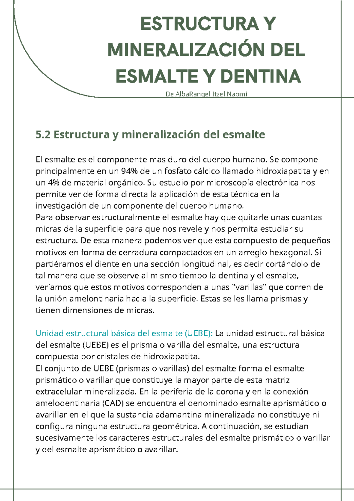 Estructura y Mineralización del Esmalte y Dentina en Odontología - Document Preview